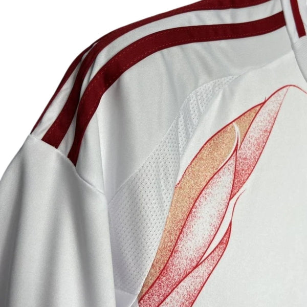 Japón Alternativa 24/25