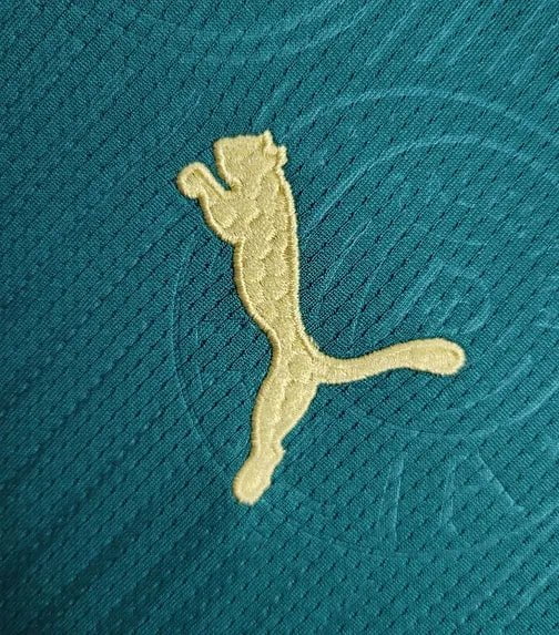 Kit de Niño - Palmeiras Principal 24/25