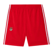 Pantalones Cortos Benfica