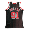 Chicago Bulls 1995-96